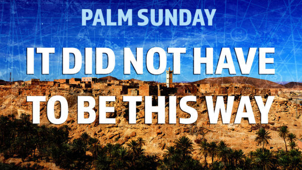 Palm Sunday - It did not have to be this way