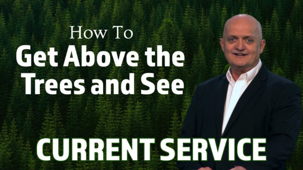 How To Get Above the Trees and See