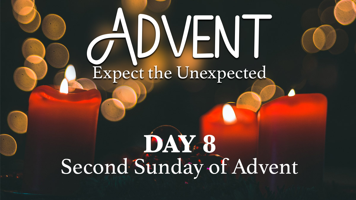 Advent 2020 Day 8 Second Sunday of Advent Bruce Downes Catholic