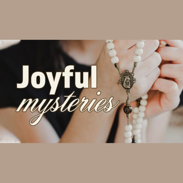 Joyful Mysteries - Wednesday Christmas Day