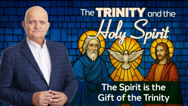 The Spirit is the Gift of the Trinity - 10th July