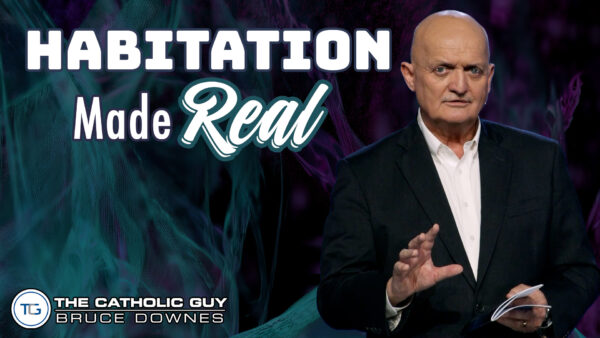 THE WEEKLY: Habitation Made Real