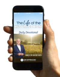 The Life of the Resurrection - Daily Devotional [eBook]