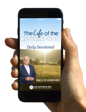 The Life of the Resurrection - Daily Devotional [eBook]