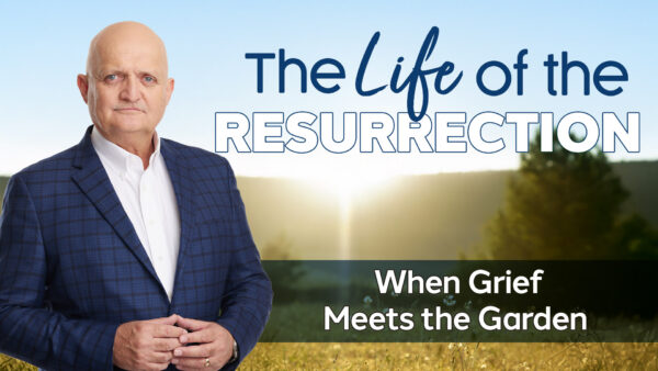 When Grief Meets the Garden  - 20th April