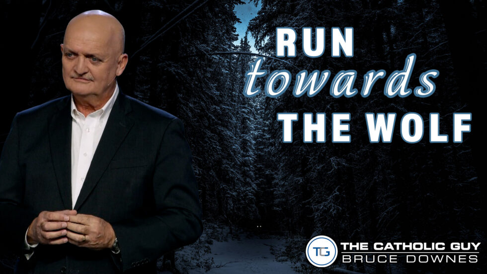 THE WEEKLY: Run Towards The Wolf