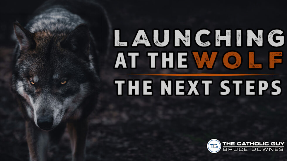 THE WEEKLY: Launching At The Wolf - The Next Steps