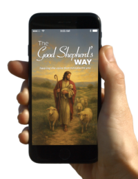 The Good Shepherd's Way [eBook]