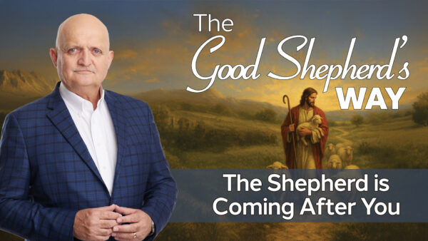 The Shepherd is Coming After You - 23rd October